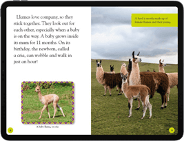 KF8 Fixed Layout eBook Conversion Services