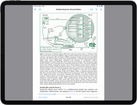 multilingual institutaional ebook publishing