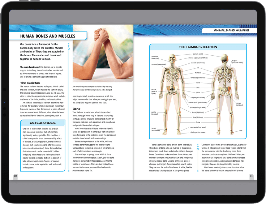 multilingual Life Sciences ePublishing Solutions